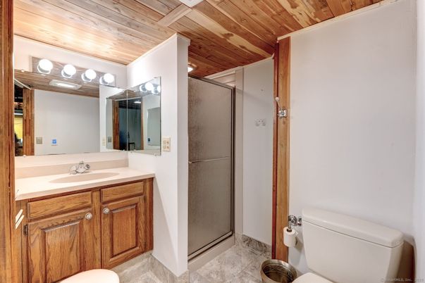 Bathroom, Glass Shower, Interior, Wooden Ceilings