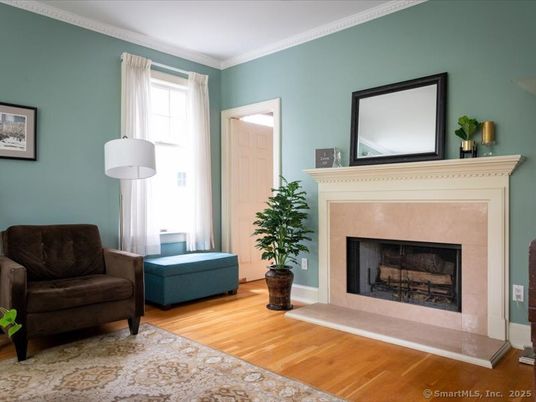 Fireplace, Interior, Wood Texture Flooring