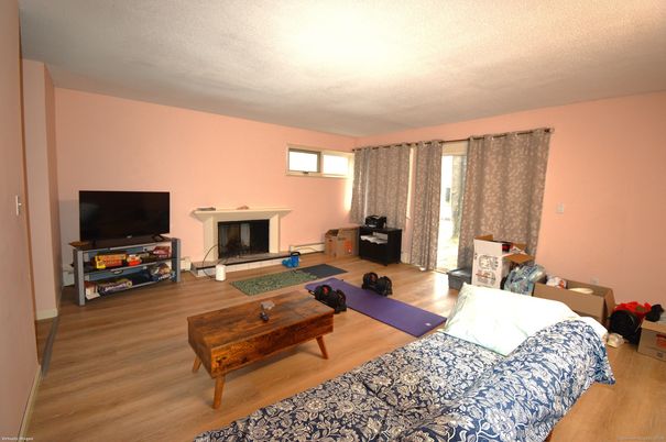 Fireplace, Interior, Wood Texture Flooring