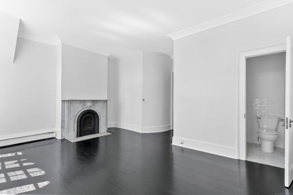Bathroom, Empty room, Fireplace, Interior, Wood Texture Flooring