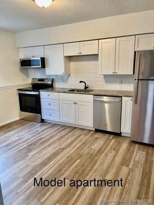 Interior, Kitchen, Stainless Steel Appliances, Wood Texture Flooring