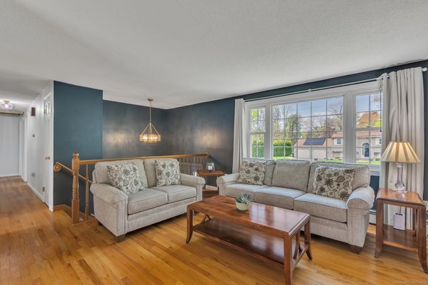 Interior, Living room, Pendant Lights, Wood Texture Flooring