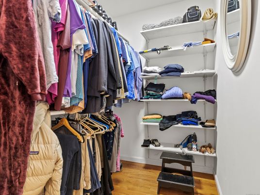 Interior, Walk-in Closets, Wood Texture Flooring
