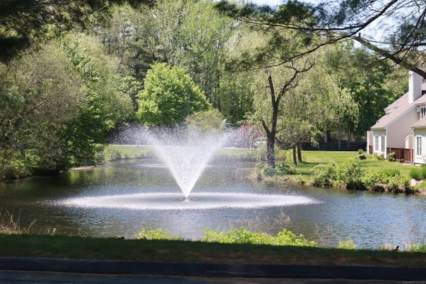 Exterior, Lake