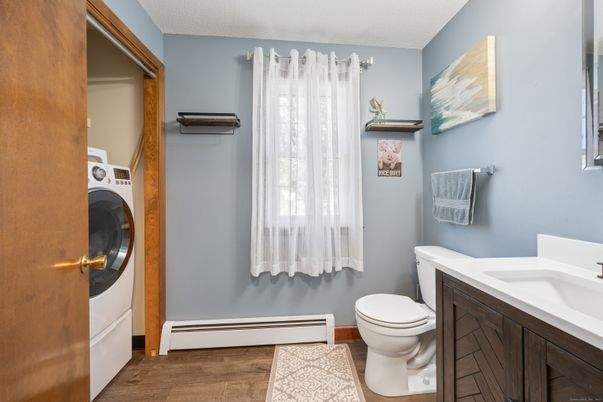 Bathroom, Interior, Utility Closets, Washer, Wood Texture Flooring