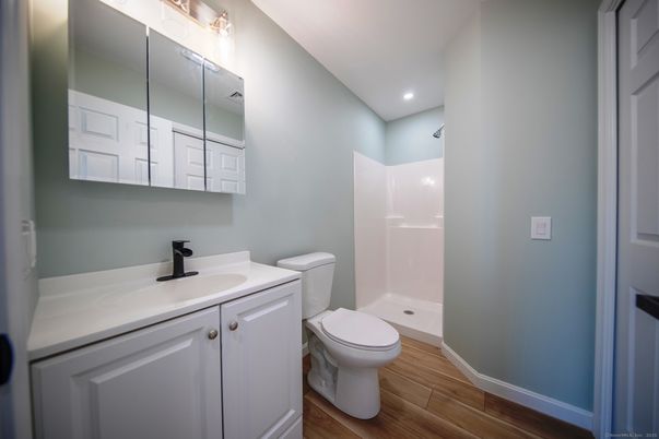 Bathroom, Interior, Recessed Lighting, Wood Texture Flooring