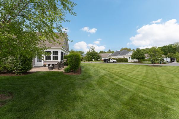 Backyard, Exterior, Solar Panels