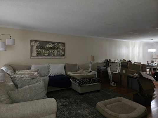 Interior, Living room, Pendant Lights, Wood Texture Flooring