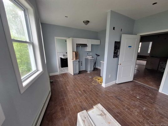 Interior, Kitchen, Washer, Wood Texture Flooring