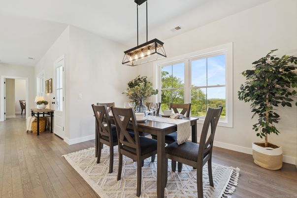 Dining room, Interior, Pendant Lights, Wood Texture Flooring