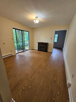 Empty room, Fireplace, Interior, Wood Texture Flooring