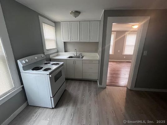 Interior, Kitchen, Washer, Wood Texture Flooring