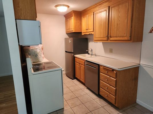 Interior, Kitchen, Washer, Wood Texture Flooring