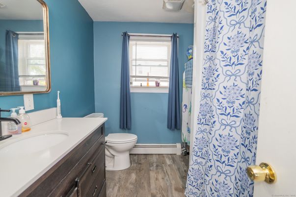 Bathroom, Interior, Wood Texture Flooring