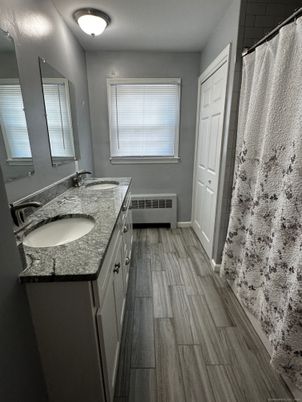 Bathroom, Dual Sink Vanities, Interior, Wood Texture Flooring