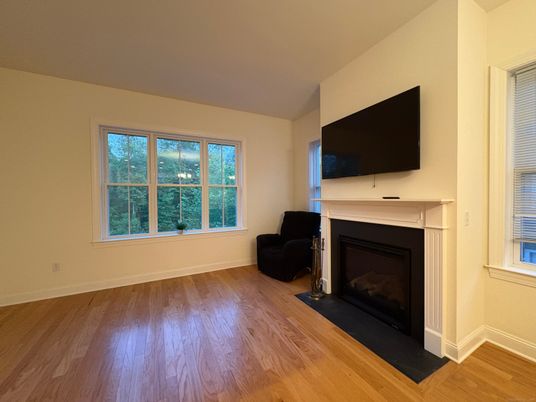 Fireplace, Interior, Wood Texture Flooring