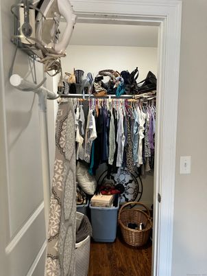 Interior, Walk-in Closets, Wood Texture Flooring