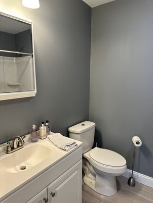 Bathroom, Interior, Wood Texture Flooring