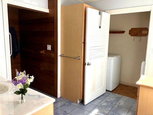 Interior, Washer, Wood Texture Flooring, Wooden Walls