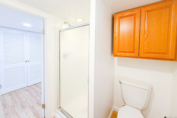Bathroom, Interior, Recessed Lighting, Wood Texture Flooring