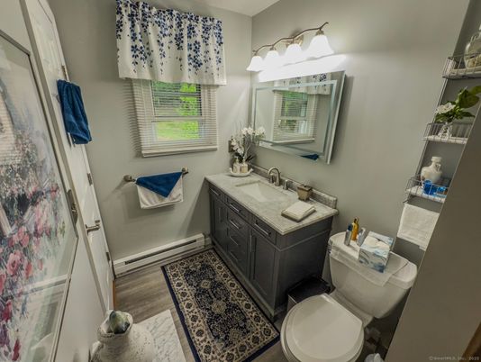 Bathroom, Interior, Wood Texture Flooring