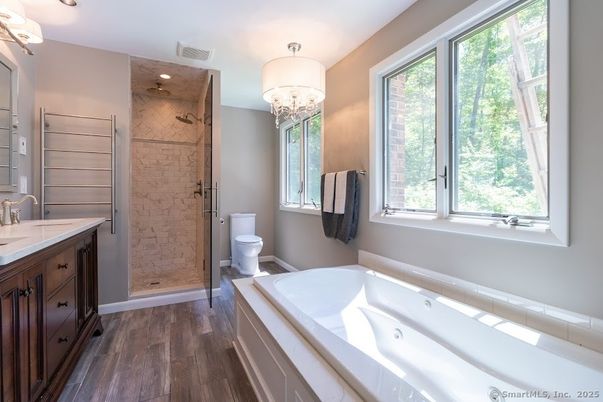 Bathroom, Glass Shower, Interior, Wood Texture Flooring
