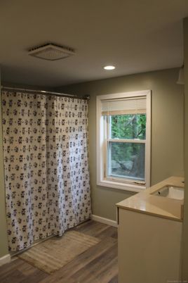 Bathroom, Interior, Recessed Lighting, Wood Texture Flooring