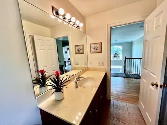 Bathroom, Interior, Wood Texture Flooring