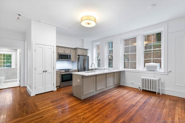 Interior, Kitchen, Stainless Steel Appliances, Wood Texture Flooring