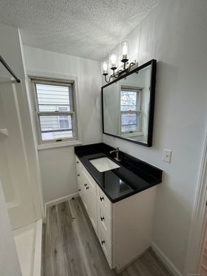 Bathroom, Dual Sink Vanities, Interior, Wood Texture Flooring