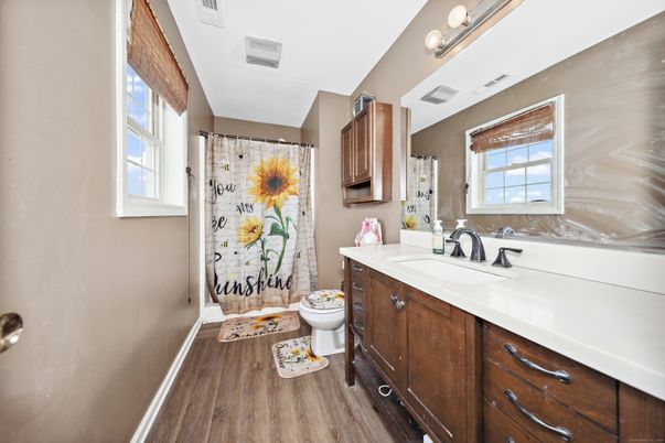 Bathroom, Interior, Wood Texture Flooring