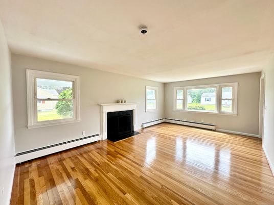 Empty room, Fireplace, Interior, Wood Texture Flooring