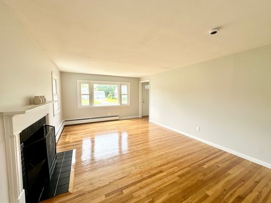 Empty room, Fireplace, Interior, Wood Texture Flooring