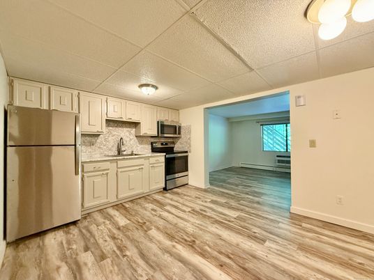 Interior, Kitchen, Stainless Steel Appliances, Wood Texture Flooring