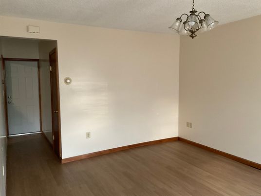 Chandelier, Empty room, Interior, Wood Texture Flooring