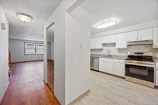Interior, Kitchen, Stainless Steel Appliances, Wood Texture Flooring