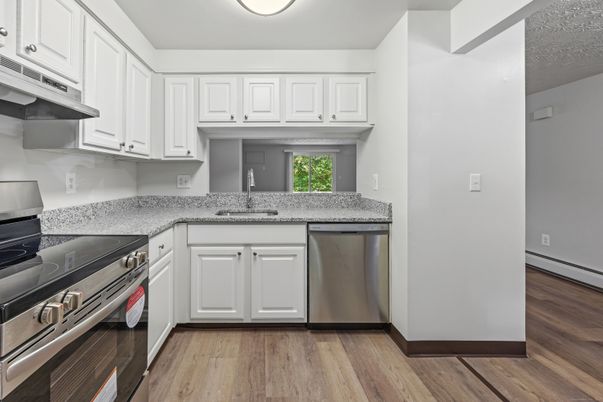 Interior, Kitchen, Stainless Steel Appliances, Wood Texture Flooring