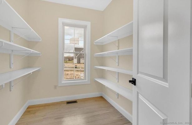 Interior, Walk-in Closets, Wood Texture Flooring