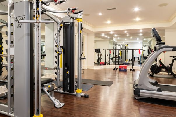 Fitness Equipment, Gym, Interior, Recessed Lighting, Wood Texture Flooring