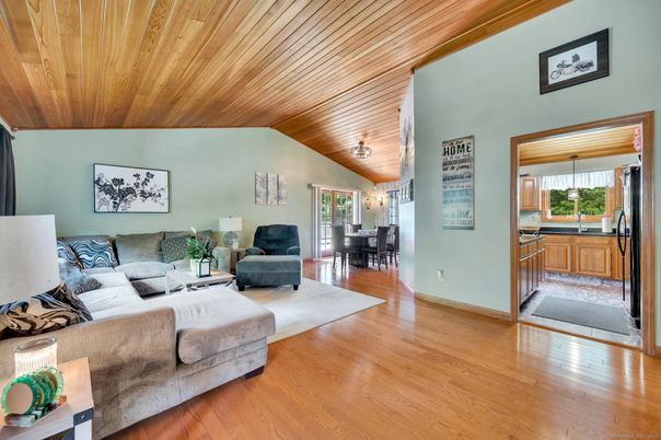 Dining room, Interior, Living room, Wooden Ceilings, Wood Texture Flooring