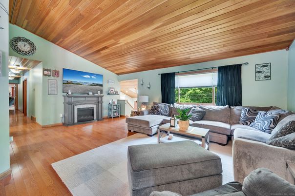 Fireplace, Interior, Living room, Wooden Ceilings, Wood Texture Flooring
