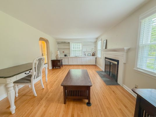 Fireplace, Interior, Wood Texture Flooring