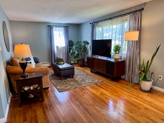 Interior, Living room, Wood Texture Flooring