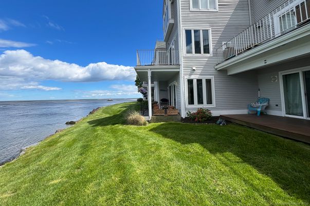 Backyard, Exterior, Water