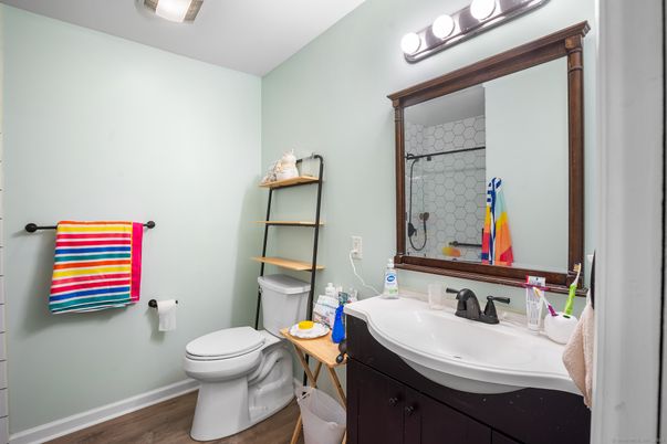 Bathroom, Interior, Wood Texture Flooring
