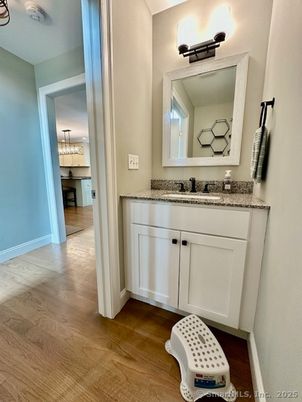 Bathroom, Chandelier, Interior, Wood Texture Flooring