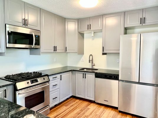 Interior, Kitchen, Stainless Steel Appliances, Wood Texture Flooring