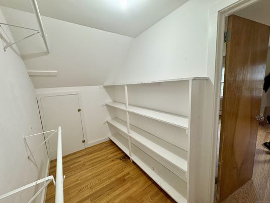 Interior, Walk-in Closets, Wood Texture Flooring