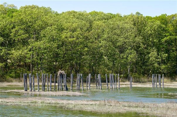 Exterior, Lake