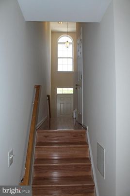 Interior, Pendant Lights